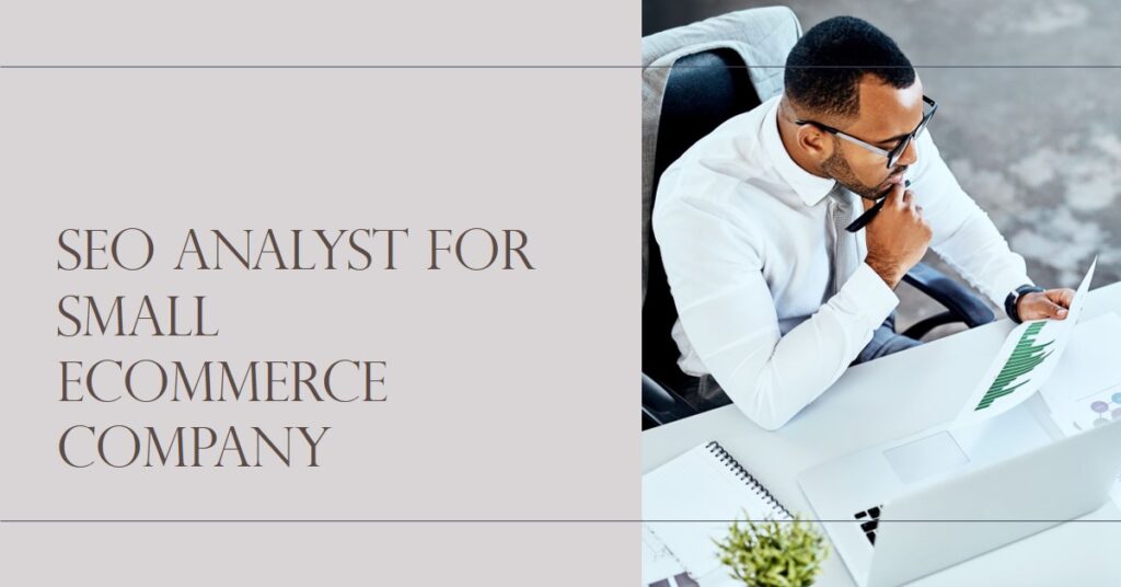 seo analyst for small ecommerce company